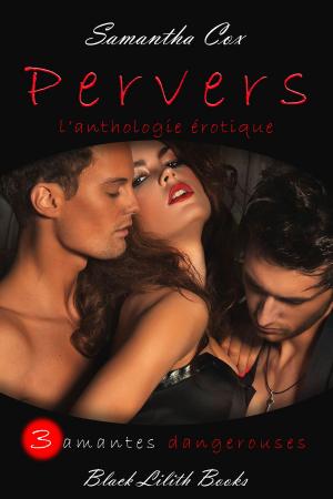Cover of the book Pervers by Sarah D. O'Bryan