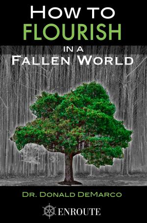 Cover of the book How to Flourish in a Fallen World by Fr. Brett Brannen
