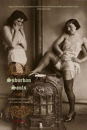 Cover of the book Suburban Souls (VOLUME II & Appendices) by Howard Longfellow, Locus Elm Press (editor)