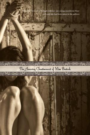 Cover of the book The Amazing Chastisement of Miss Bostock by Jayla King