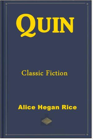 Cover of the book Quin by Frances Hodgson Burnett