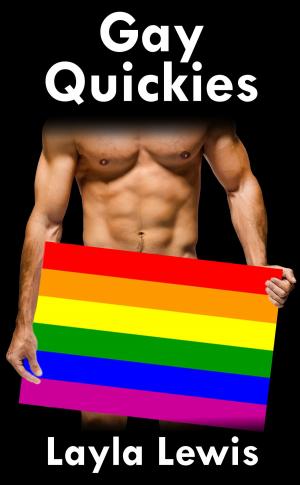 Book cover of Gay Quickies