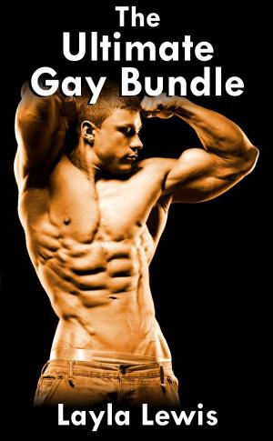 Book cover of The Ultimate Gay Bundle