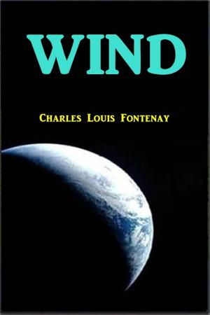 Cover of the book Wind by Edward M. Lerner