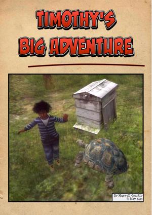 Book cover of Timothy's Big Adventure