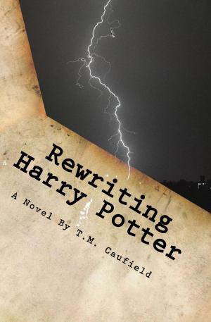 Book cover of Rewriting Harry Potter