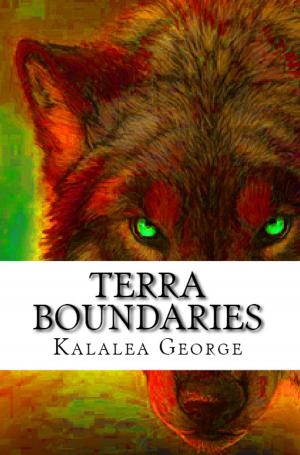 Cover of the book Terra Boundaries by Kayl Karadjian