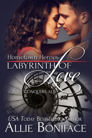 Cover of the book Labyrinth of Love by Allie Boniface