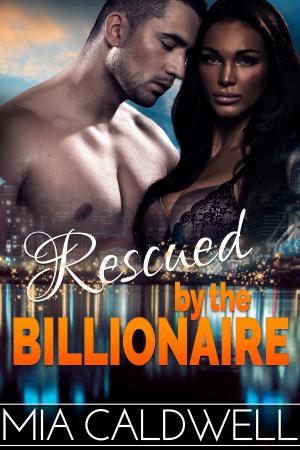 Cover of the book Rescued by the Billionaire by Sullivan Lee