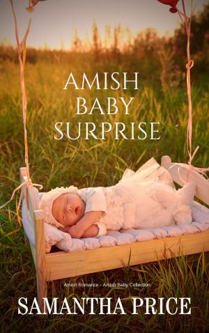 Book cover of Amish Romance: Amish Baby Surprise