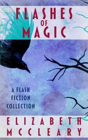 Book cover of Flashes of Magic