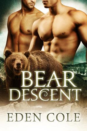Book cover of Bear Descent