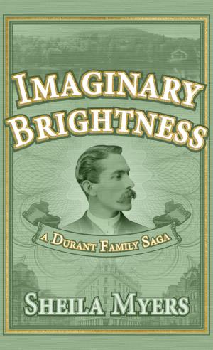 Cover of the book Imaginary Brightness by Rebecca Yount