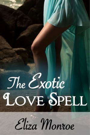 Book cover of The Exotic Love Spell