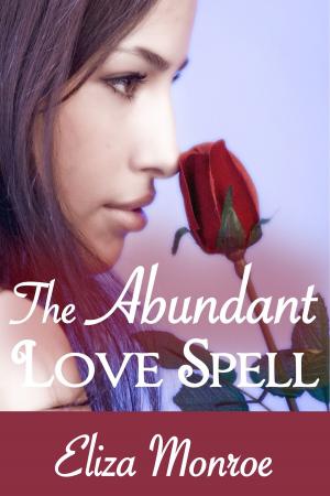 Book cover of The Abundant Love Spell