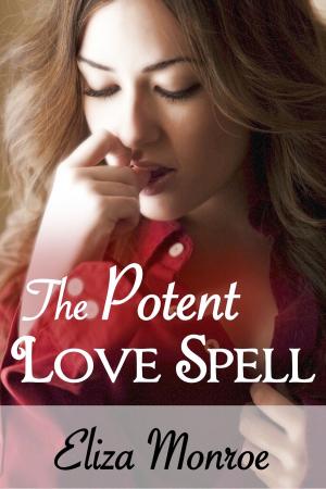 Cover of the book The Potent Love Spell by Adrienne Gordon