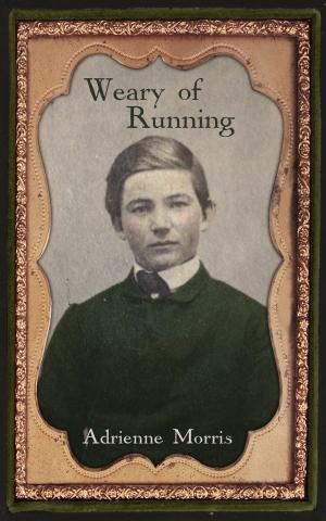 bigCover of the book Weary of Running by 