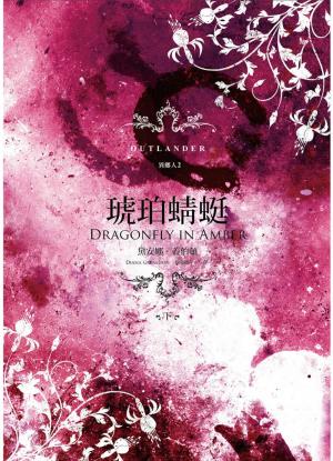 Book cover of 異鄉人Outlander2：琥珀蜻蜓（下）