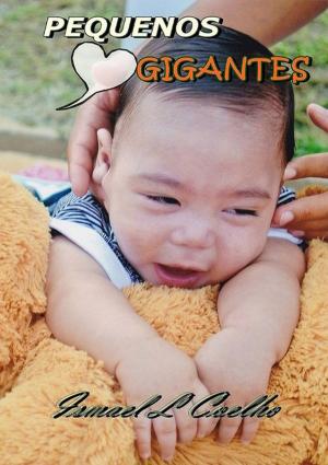 Book cover of Pequenos Gigantes