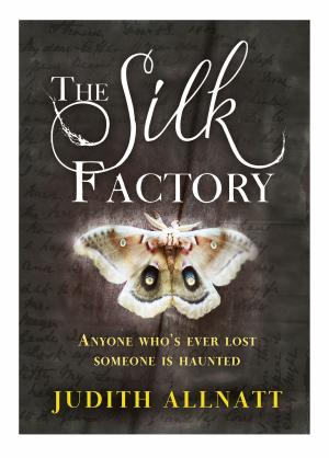 Cover of the book The Silk Factory by Lisa Henry