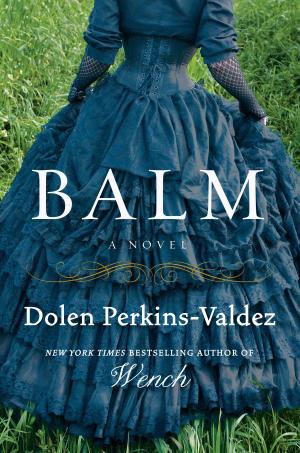 Cover of the book Balm by Rita Williams-Garcia