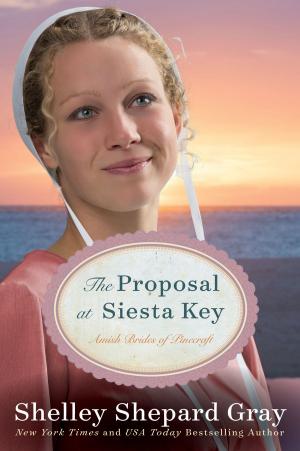 Book cover of The Proposal at Siesta Key