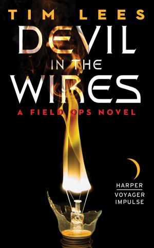 Cover of the book Devil in the Wires by Richard Kadrey