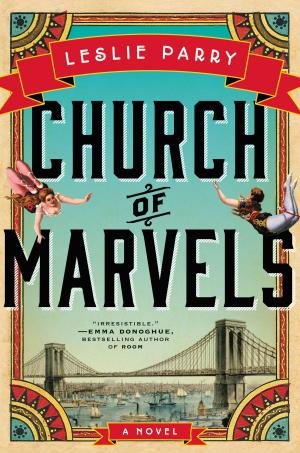 Cover of the book Church of Marvels by Jonathan Lethem