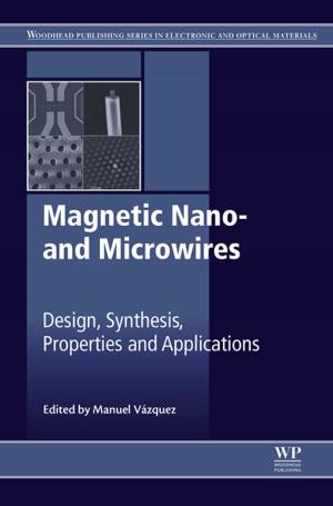 Cover of the book Magnetic Nano- and Microwires by Paul A. J. Janssen