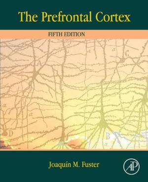 Cover of the book The Prefrontal Cortex by Chet Hosmer, Joshua Bartolomie, Rosanne Pelli