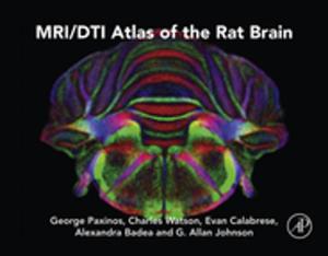 Cover of the book MRI/DTI Atlas of the Rat Brain by Renata Pasqualini