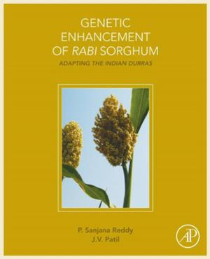 Cover of the book Genetic Enhancement of Rabi Sorghum by Chet Hosmer