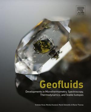 Cover of the book Geofluids by Franco Bulian, Jon Graystone