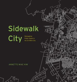 Book cover of Sidewalk City