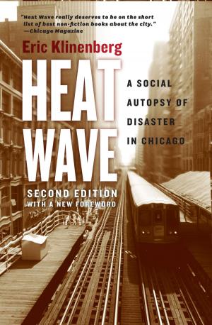 Cover of the book Heat Wave by Jacques Derrida