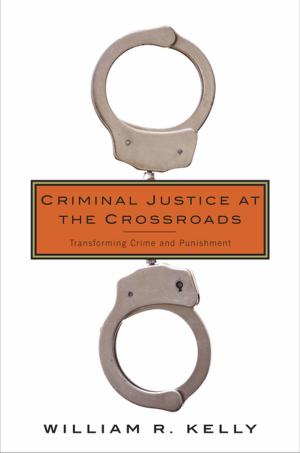 Cover of the book Criminal Justice at the Crossroads by Hans-Georg Moeller