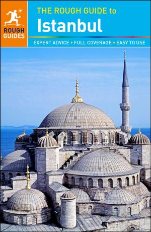 Cover of the book The Rough Guide to Istanbul by Insight Guides