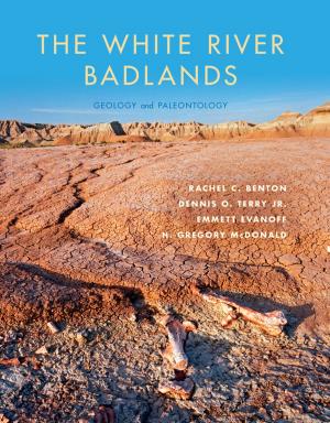 Book cover of The White River Badlands