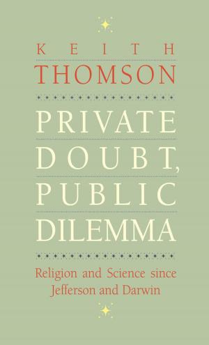 Cover of the book Private Doubt, Public Dilemma by Ian Shapiro