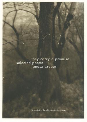 Cover of the book They Carry a Promise by Andrew Sullivan