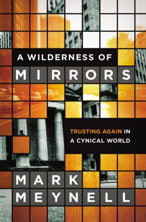 Cover of the book A Wilderness of Mirrors by John Ortberg
