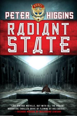 Cover of the book Radiant State by Ann Leckie