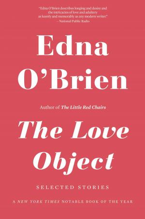 Cover of the book The Love Object by James Patterson, Chris Tebbetts