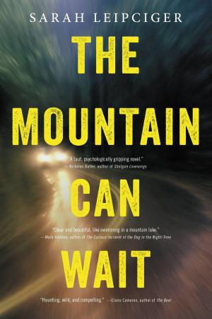 Cover of the book The Mountain Can Wait by Daniel Woodrell