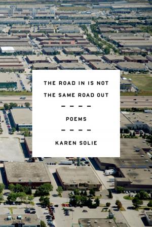 Cover of the book The Road In Is Not the Same Road Out by Krin Gabbard
