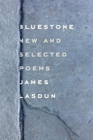 Book cover of Bluestone