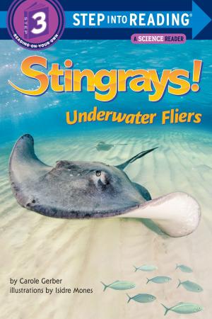 Cover of the book Stingrays! Underwater Fliers by James T. de Kay