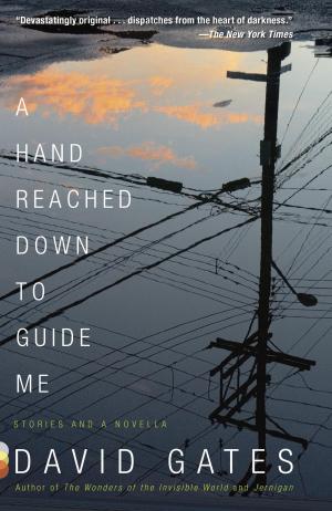 Cover of the book A Hand Reached Down to Guide Me by Bruce Bawer