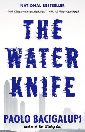 Cover of the book The Water Knife by Joe Gores