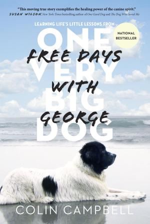 Cover of the book Free Days With George by Don Cherry